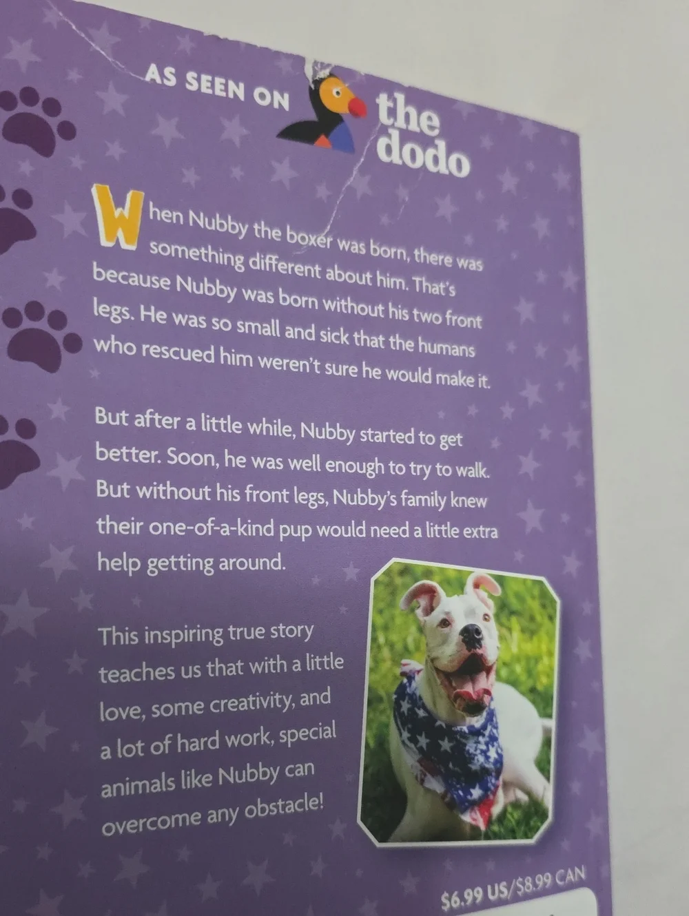 Scholastic Nubby's Story